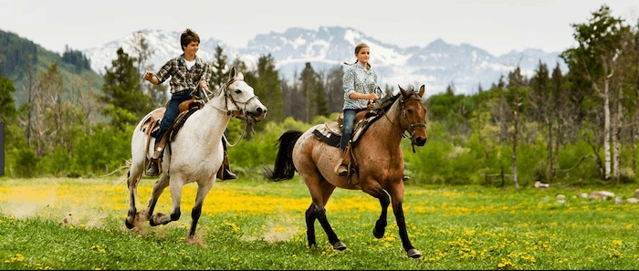 Confident plus-size woman riding Chippenham a horse through a field with a smile on her face.